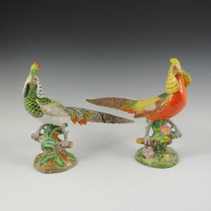 Pair of large pheasants